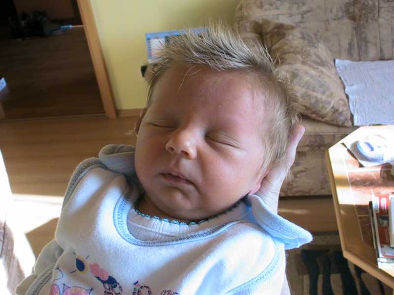 gal/2006/02_Prvni_tyden/Honzik_6dni6.jpg