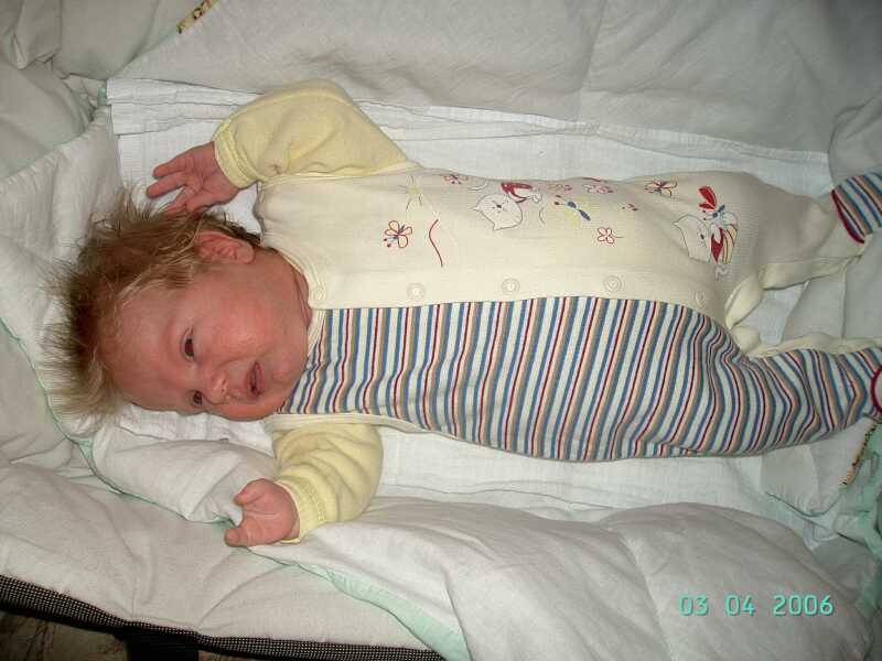 gal/2006/08_Sedmy_tyden/PICT0132.JPG