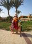gal/2016/12_Egypt/_thb_IMG_4152.JPG