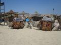 gal/2016/12_Egypt/_thb_IMG_4318.JPG
