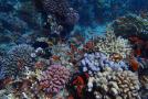 gal/2016/12_Egypt/_thb_IMG_4330.JPG