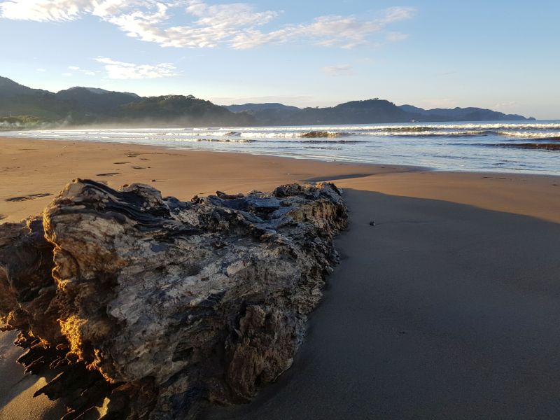 gal/2019/02_CostaRica/20190112_063655.jpg