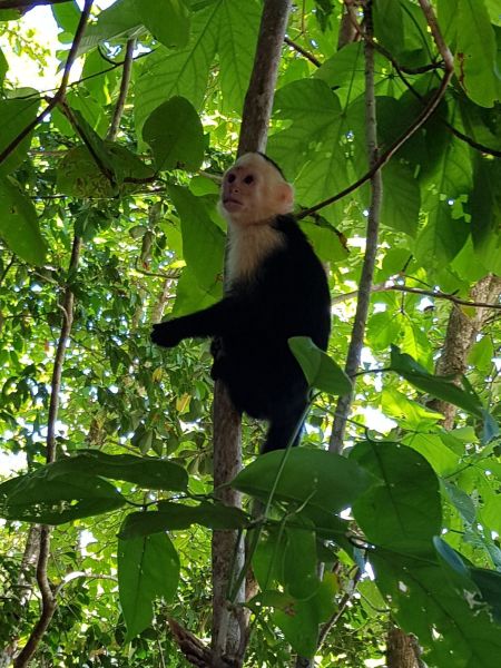 gal/2019/02_CostaRica/20190112_181114.jpg