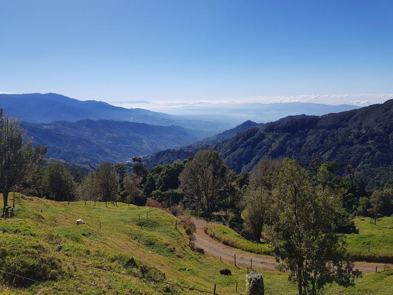 gal/2019/02_CostaRica/20190115_091448.jpg