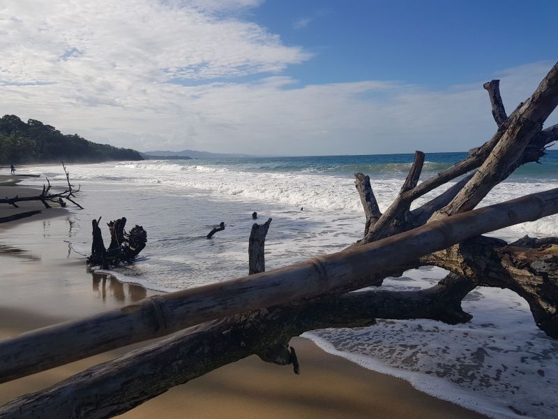 gal/2019/02_CostaRica/20190116_150440.jpg