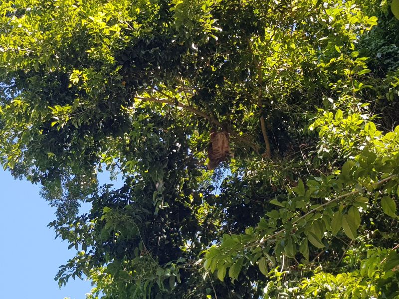 gal/2019/02_CostaRica/20190117_092219.jpg