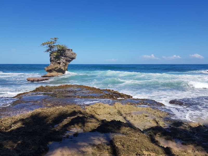 gal/2019/02_CostaRica/20190117_103504.jpg