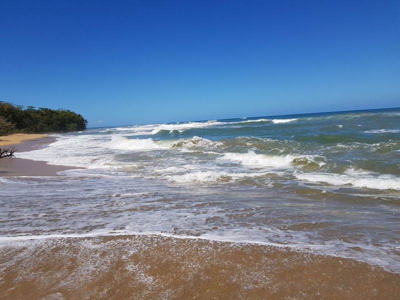 gal/2019/02_CostaRica/20190117_124237.jpg