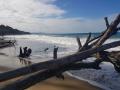 gal/2019/02_CostaRica/_thb_20190116_150440.jpg