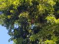 gal/2019/02_CostaRica/_thb_20190117_092219.jpg