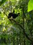 gal/2019/02_CostaRica/_thb_20190118_144602.jpg