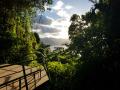 gal/2019/02_CostaRica/_thb_20190118_164735.jpg
