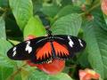gal/2019/02_CostaRica/_thb_20190119_101830.jpg