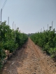 gal/2024/10_Espana/_thb_image011.jpg