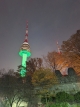 gal/2024/15_Korea/_thb_image009.jpg