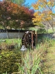 gal/2024/15_Korea/_thb_image025.jpg