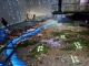 gal/2024/15_Korea/_thb_image039.jpg